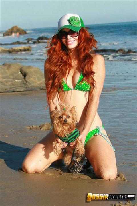 Phoebe Price Bikini Horny Celebrity Showing Tits Gorgeous