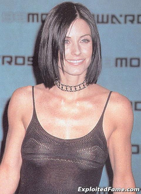 Courteney Cox Cougar Hollywood Athletic Slender Actress Doll