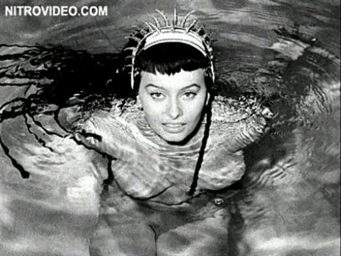 Sophia Loren Looking For Sophia Celebrity Beautiful Sexy Hot