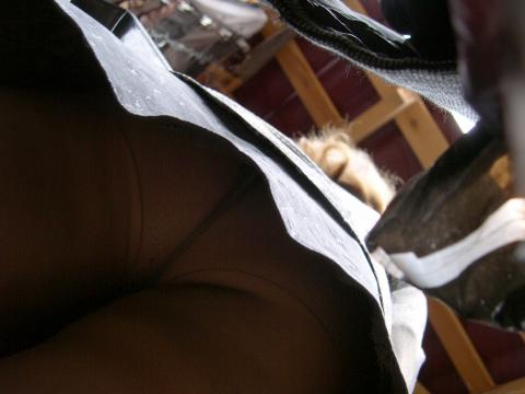 Herlinda Showing Bush Upskirt Paparazzi Shirt Skirt Softcore Herlinda Showing Bush Upskirt Paparazzi Shirt Skirt Softcore