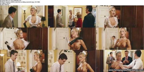 Amanda Swisten Nude Sexy Scene American Wedding French Maid