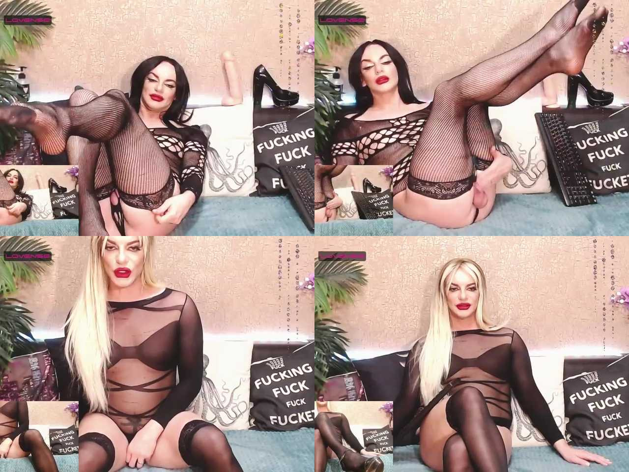 Ladyboy Chat Rooms