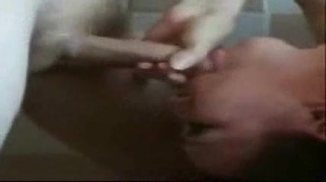 Cicely Throatfuck Hot Straight Webcam Upside Down Blowjob Amateur