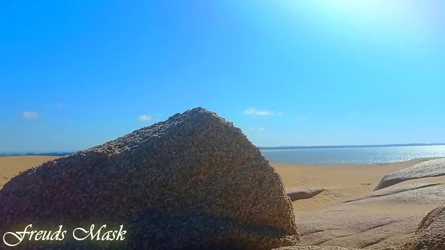 amateurs fucking at the beach