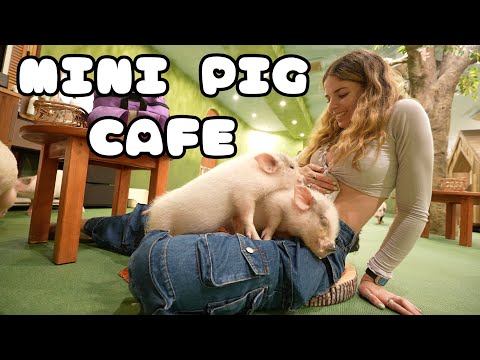 Victoria Xavier Video Japan Thanks Hot Found It Cafe Loved Xxx Pig