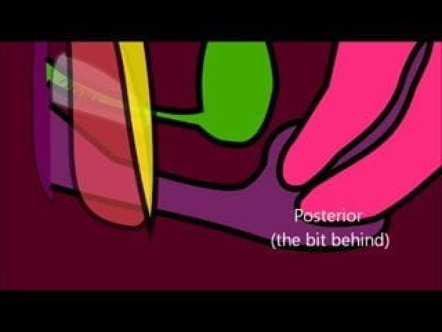 Nylah Working Works Vagina Straight Hot Cartoon Xxx Sex Porn