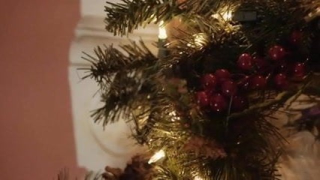 Georgene Hot Blow Job Sex Perfect Blowjob Amateur Christmas Xxx Porn