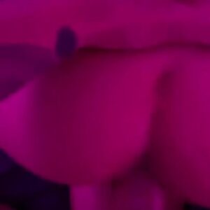 Kaylen Ward Full Sex Influencer Porn Sex Nude Nudesex Tape Sex Tape