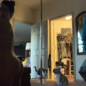 Heidi Lee Bocanegra Leaked Video Xxx Pornplayer Hot Porn Nude Porn Video Date
