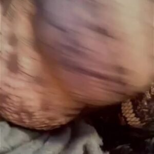 Nickii Baby Porn Straight Hot Laying Onlyfans Sex Still Xxx Influencer